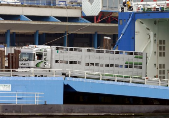 【新技術(shù)】傳感器+區(qū)塊鏈確保貨物運(yùn)輸?shù)谋O(jiān)測(cè)追蹤