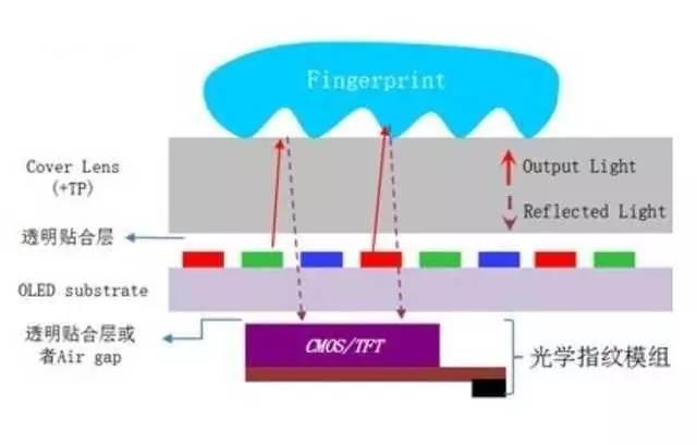 智能手機下一波趨勢將帶火哪些傳感器? 智能手機下一波趨勢將帶火哪些傳感器?